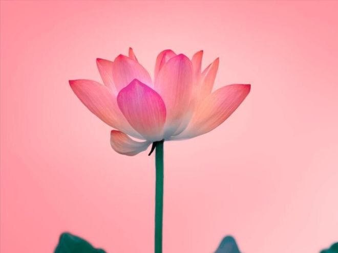 兆翻红生肖榜贵人提携喜迎新机遇开元ky棋牌5月中旬运势稳定吉