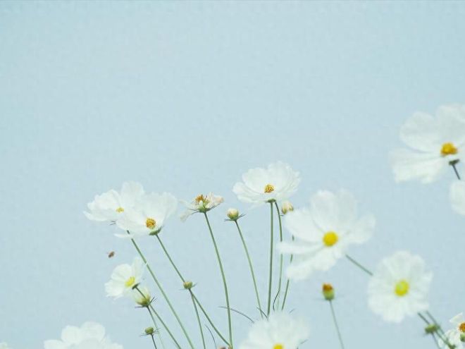 兆翻红生肖榜贵人提携喜迎新机遇开元ky棋牌5月中旬运势稳定吉(图3)